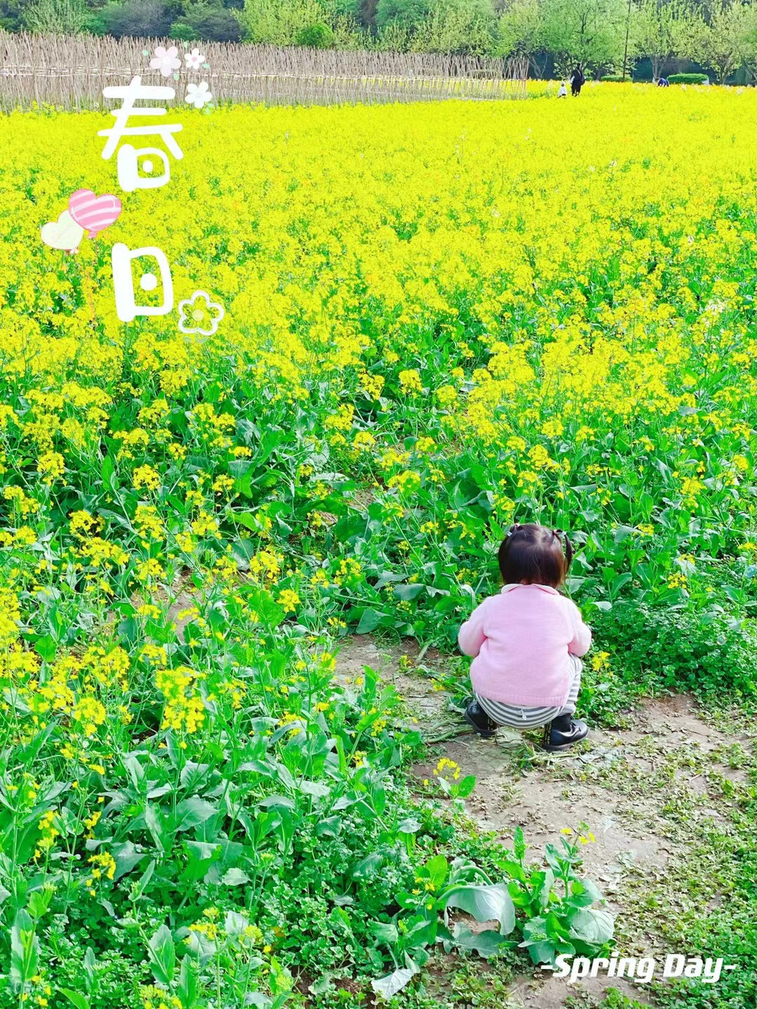 孙小美