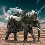 佛系青年-1